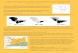 Poster: P2222-05 Lake Chad : present situation and possible future management