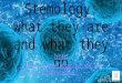 Stemology what they are and what they do