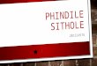 Slides phindile sithole