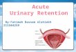 Acute urinary retintion