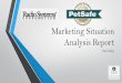 Marketing Situation Analysis Report 061414 PDF