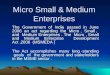 Micro enterprise
