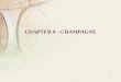 Chapter 9 – Champagne (NXPowerLite)