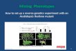 Mining Phenotypes: How to set up a reverse genetics experiment with an Arabidopsis thaliana mutant