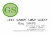 GS SWAP Guide Bag SWAPS