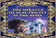 Harun Yahya Islam   The Miracle Of Electricity In Body