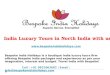 India luxury tours in north india
