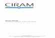 CIRAM   Authentication Of Stone Objects - 2013