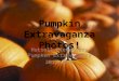 Pumpkins slide show