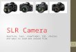 SLR Cameras