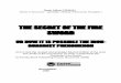 The secret history   The Iron Guard (copyFREE published book)