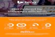 Bing Ads Product Ads Case Study Snapshot