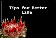 Tips for Better Life *