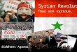 Syria Crysis