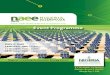 Nigeria Alternative Energy Expo 2013 Programme