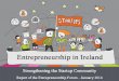 Entrepreneurship Forum Report Ireland 2014