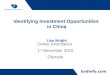 Lisa wright investment opportunities in china