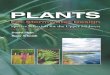 Minnesota: Plants for Stormwater Design - Part 1