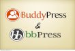 BuddyPress and bbPress