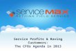 Service Profits and Raving Customers: The CFO's Agenda in 2013