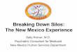 Breaking Down Silos: The New Mexico Experience