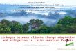 Linkages between climate change adaptation and mitigation in Latin American forests