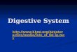 Digestive System http://www.hhmi.org/biointeractive/media 