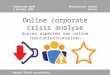 Online Corporate Crisis Analyse