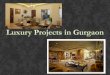 New projects launched in Gurgaon