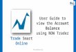 User guide to view the Accounts Balance using NOW Trader