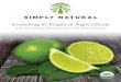 SN_Rainforest Limes brochure