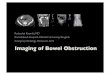 Imaging of Bowel Obstruction
