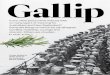 Gallipoli AU smaller