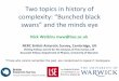 Venice 2012 Two topics in the history of complexity: Bunched Black Swans and the Mind's Eye