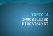 TOPIC 4_part 2 Properties and Characterization of Immobilized Biocatalysts_student Copy