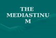 The Mediastinum