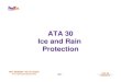 Airbus 30 A300 A310 Ice and Rain