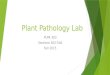 Plant Path Presentation - Week 1
