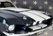 Ford Mustang Shelby Gt 500