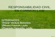 Responsabilidad Civil en Common Law