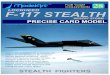 F 117 Stealth Model Art