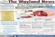 The Wayland News November 2015