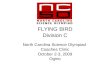 2009 flying bird institute.ppt