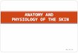Anatomy and Physiology of the Skin