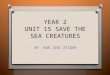 Unit 15 Save the Sea Creatures