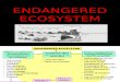 Chapt 9 Endangered Ecosystem