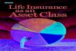 Life Insurance Asset Class