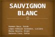 Vino: Sauvignon Blanc