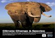 WWF - Climate Change & Species