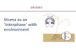 Stoma Interphase With Environment